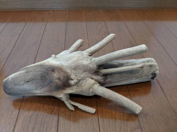 ☆天然流木 水槽 1点物 アクアリウム オブジェ アート 32×20×12cm 大和川河口 爬虫類 インテリア