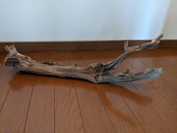 ☆天然流木 水槽 1点物 アクアリウム オブジェ アート 64×18×14cm 大和川河口 爬虫類 インテリア 大型 枝