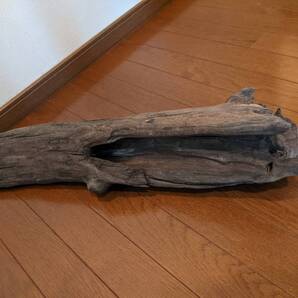 ☆天然流木 水槽 1点物 アクアリウム オブジェ アート 70×18×16cm 大和川河口 爬虫類 インテリア 大型