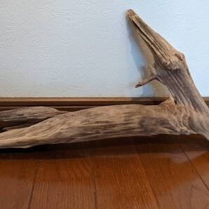 ☆天然流木 水槽 1点物 アクアリウム オブジェ アート 40×22×6.5cm 大和川河口 爬虫類 インテリア