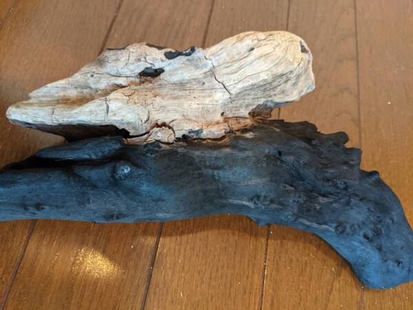 ☆天然流木 水槽 1点物 アクアリウム オブジェ アート 29.5×17×7cm 大和川河口 爬虫類 インテリア ツートンカラー 不思議