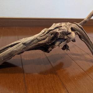 ☆天然流木 水槽 1点物 アクアリウム オブジェ アート 33×12×16.5cm 大和川河口 爬虫類 インテリア 魚 隠れ家