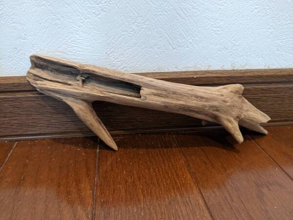 ☆天然流木 水槽 1点物 アクアリウム オブジェ アート 23×6.5×6.5cm 大和川河口 爬虫類 インテリア