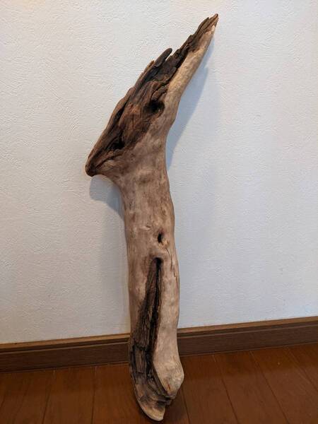 ☆天然流木 水槽 1点物 アクアリウム オブジェ アート 61×14.5×14cm 大和川河口 爬虫類 インテリア 大型