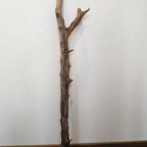 ☆天然流木 水槽 1点物 アクアリウム オブジェ アート 85×14×7cm 大和川河口 爬虫類 インテリア 大型 枝