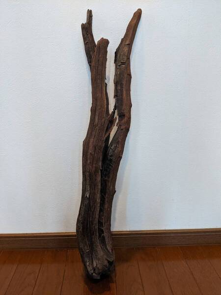 ☆天然流木 水槽 1点物 アクアリウム オブジェ アート 75×16×16cm 大和川河口 爬虫類 インテリア 大型