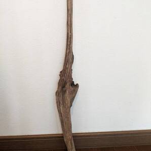 ☆天然流木 水槽 1点物 アクアリウム オブジェ アート 60×7.5×8cm 大和川河口 爬虫類 インテリア