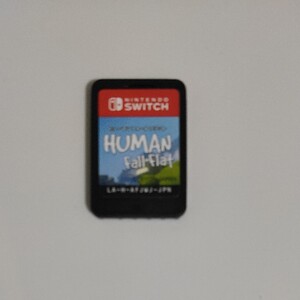 Nintendo Switch フューマンフォールフラット
