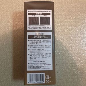 ヘアボーテ エクラ ボタニカル エアカラーフォーム ダークブラウン 80g 新品