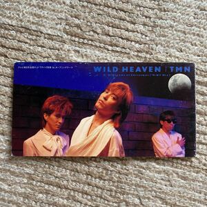 TMN『WILD HEAVEN』品番ESDB-3260 8cmシングル TM NETWORK 小室哲哉 宇都宮隆 木根尚登