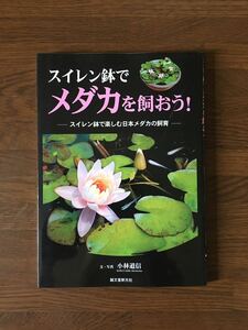  water lily pot . comfort Japan me Dakar. breeding water lily pot .me Dakar ....! writing photograph Kobayashi road confidence . writing . new light company medaka 