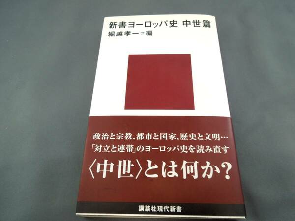 『新書ヨーロッパ史　中世篇』　堀越孝一=編（講談社現代新書）