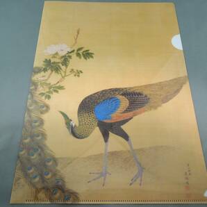 美術館グッズ A4版クリアファイル 牡丹孔雀図屏風（円山応挙）の画像1