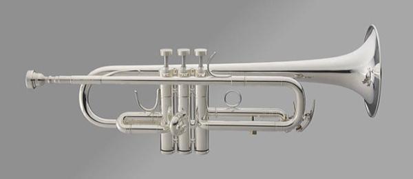 2023年最新】ヤフオク! -トランペット c管(管楽器)の中古品・新品・未