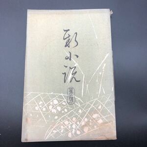 明治時代の名作「新小説」創刊号　春陽堂　第一號　口絵一葉