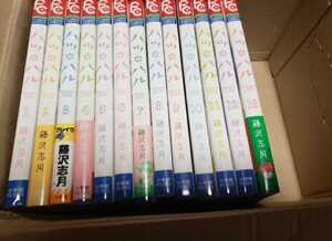 【中古】 ハツ*ハル 第1-13巻 初版 全巻セット 藤沢志月 小学館 フラワーコミックス ハツハル