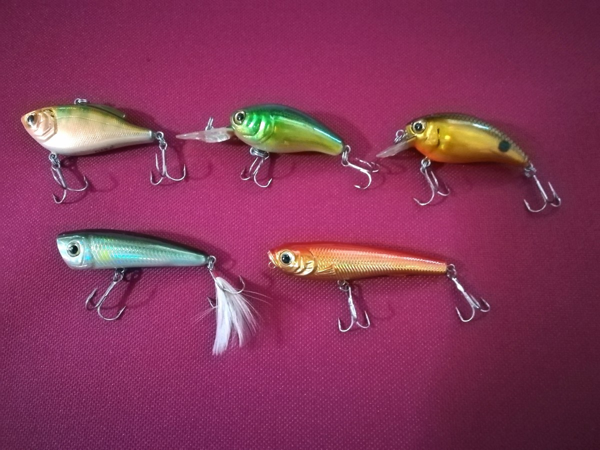 Std.Dive ウッドルアー各種 www.pibid.org
