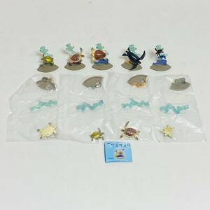 【極美品】JOIN Collection ウミガメ 全6種 計9個セット アオウミガメ アカウミガメ ヒメウミガメ タイマイ オサガメ 子ガメ フィギュア