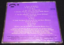 Big Daddy Kane / Prince Of Darkness 1991年国内初盤帯・和訳　Q-Tip　Al-B-Sure!　 Cold Chillin' ビッグ・ダディ・ケイン　_画像3