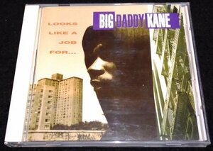 Big Daddy Kane / Looks Like A Job For... ★1993年国内初盤・和訳　 Trackmasterz　 Large Professor　Easy Mo Bee　BDK