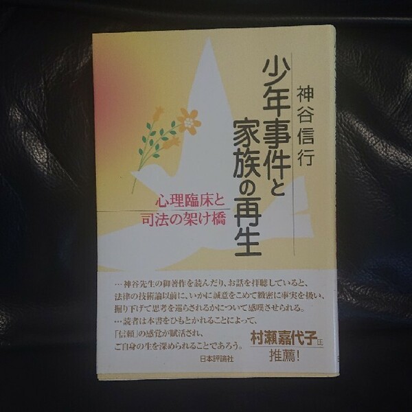 少年事件と家族の再生―心理臨床と司法の架け橋