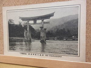 21071822D別【絵はがき】●（安芸厳島）「厳島神社大鳥居」（2）※広島県　宮島