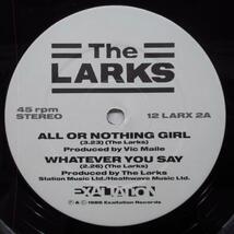 LARKS， THE-All Or Nothing Girl +3 (UK Orig.12)_画像3