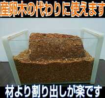 発酵マットに埋め込むと栄養強化に！カブト幼虫がサイズアップ！椎茸廃菌床ブロック☆クワガタ幼虫の餌、産卵木の代わりにも！クヌギ100％ _画像10