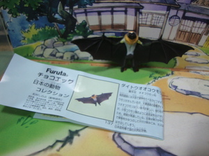 日本の動物コレクション　チョコエッグ　飛行モデル　ダイトウオオコウモリ
