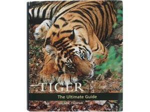 洋書◆虎の解説写真集 本 動物 トラ タイガー