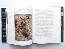 洋書◆虎の解説写真集 本 動物 トラ タイガー_画像5