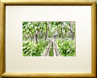 No. 7690 Forest Boardwalk / Chihiro Tanaka (Four Seasons Watercolor) / Comes with a gift, Painting, watercolor, Nature, Landscape painting