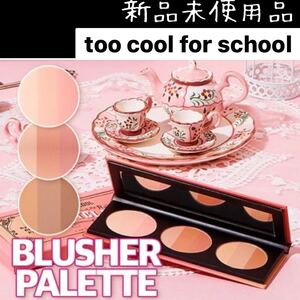 too cool for school トゥークールフォースクールバイロダン3色紅茶ブラッシャー