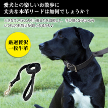 TIDING 手に優しい 本革 牛革 犬用リード ハンドル付き 大型犬 ブラック色 潮牛_画像2