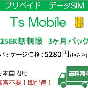 ドコモ 格安SIM 低速 無制限3ヶ月プランDocomo 格安SIM