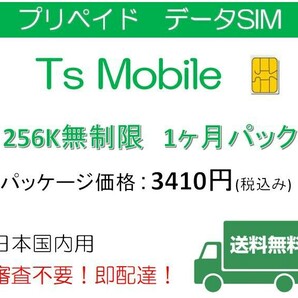 ドコモ 格安SIM 低速 無制限1ヶ月プランDocomo 格安SIM