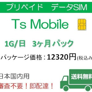 ドコモ 格安SIM 日本国内 高速データ容量1G/日3ヶ月プラン