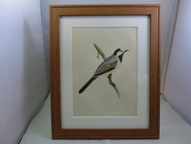 鳥の絵の額装品　タイリクハクセキレイ (White Wagtail)　 木版画　木製フレーム　アンティーク_画像6