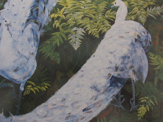 Hideaki Hirao, [Weißer Pfau], Aus einer seltenen Sammlung von Rahmenkunst, Neuer Rahmen inklusive, In guter Kondition, Porto inklusive, sca, Malerei, Ölgemälde, Natur, Landschaftsmalerei