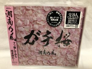 湘南乃風 / ガチ桜 新品未開封 CD A95