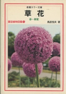 ■教養カラー文庫『草花　春～初夏　園芸植物図鑑①』検：フクジュソウ・サクラソウ・アネモネ