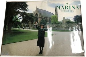  Watanabe Marina Evergreen примерно 59×82cm постер 