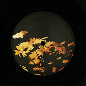 試聴 Tony Lionni - Golden EP [12inch] Left Of The Dial CAN 2009 Techno/House