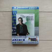 ■『必死の逃亡者(原題The Desperate Hours)』映画Pamphlet１冊＆未開封DVD１枚。Humphrey Bogartの凶悪な演技が耀ります。_画像8