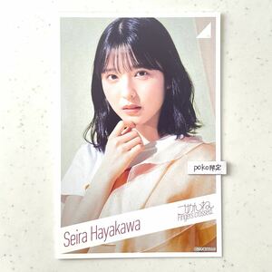 ★公式グッズ　早川聖来　乃木坂46 ポストカード 1枚 ごめんねfingers crossed ( 生写真×