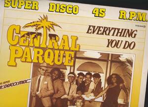 ダンクラ12inch★CENTRAL PARQUE / Everything you do / Stay★picture sleeve・オランダ盤・injection★