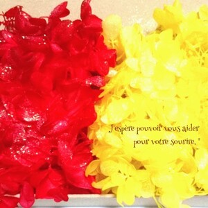 加工花材* アジサイ プリザーブドフラワー 花材