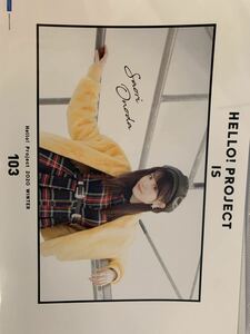 【小野田紗栞・155】コレクションピンナップポスター ピンポス Hello! Project 2018 SUMMER ～ALL FOR ONE～／～ONE FOR ALL～