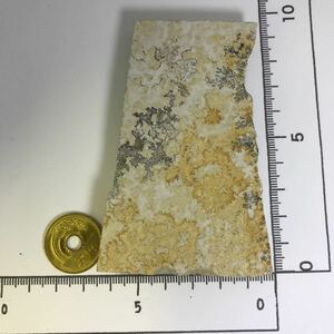 商品NO: K100 デンドライト 忍石 しのぶ石 忍ぶ石 天然石 鉱物 鉱物標本 パワーストーン 原石