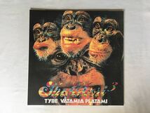 Asylum/ The Chori3 / Nothin' To Be A Friend/Tybe Vatamia Platami スプリット12inch LP インサートあり TRANSRECORDS 31-A/B_画像2